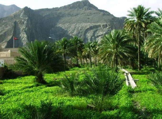 Bahla-Jabreen-Jabal Akhdar  Mountain – 2pax General – Jinesh Test